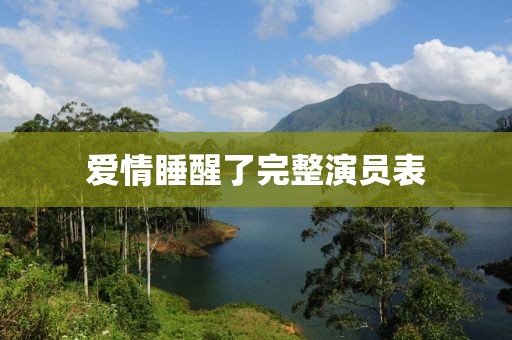 爱情睡醒了完整演员表