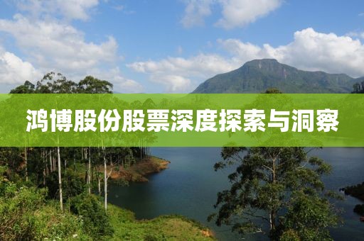 鸿博股份股票深度探索与洞察