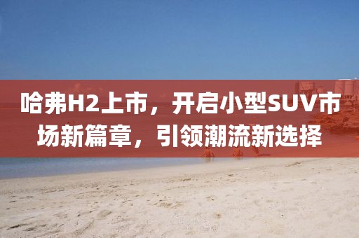 哈弗H2上市，开启小型SUV市场新篇章，引领潮流新选择
