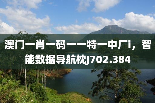 澳门一肖一码一一特一中厂i，智能数据导航枕J702.384