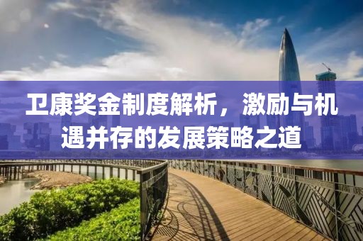 卫康奖金制度解析，激励与机遇并存的发展策略之道