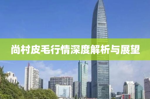 尚村皮毛行情深度解析与展望