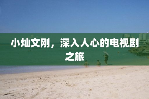 小灿文刚，深入人心的电视剧之旅
