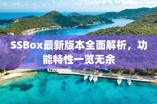 SSBox最新版本全面解析，功能特性一览无余