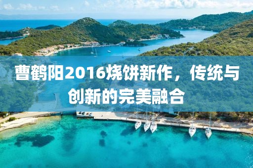 曹鹤阳2016烧饼新作，传统与创新的完美融合
