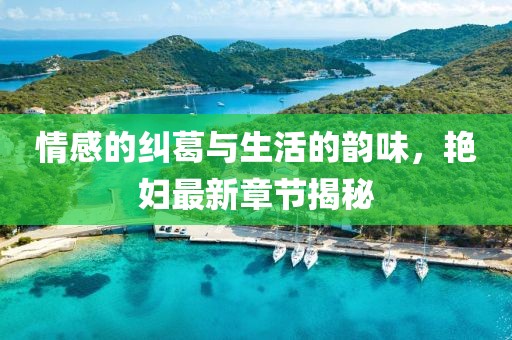 情感的纠葛与生活的韵味，艳妇最新章节揭秘