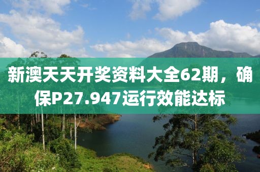 新澳天天开奖资料大全62期，确保P27.947运行效能达标
