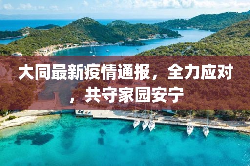 大同最新疫情通报，全力应对，共守家园安宁