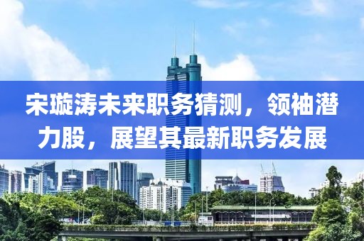 宋璇涛未来职务猜测，领袖潜力股，展望其最新职务发展