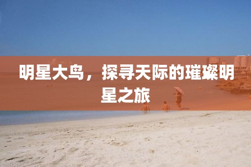 明星大鸟，探寻天际的璀璨明星之旅