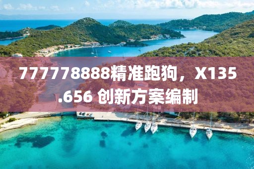 777778888精准跑狗，X135.656 创新方案编制