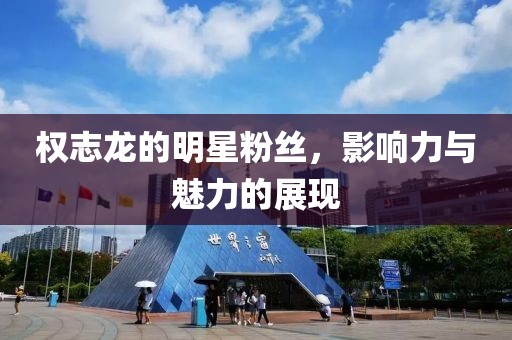 权志龙的明星粉丝，影响力与魅力的展现