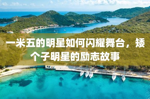 一米五的明星如何闪耀舞台，矮个子明星的励志故事