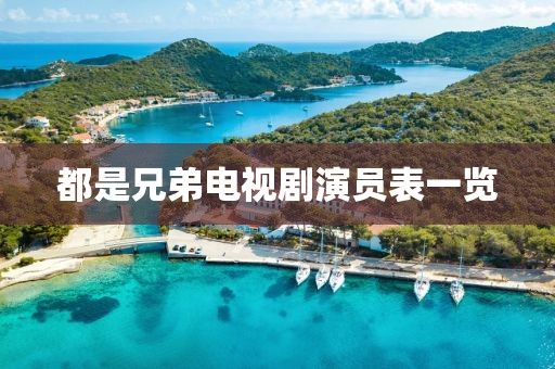 都是兄弟电视剧演员表一览