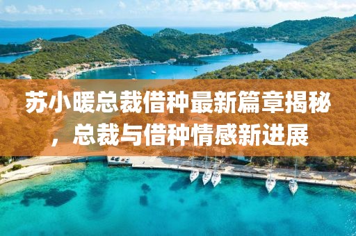 苏小暖总裁借种最新篇章揭秘，总裁与借种情感新进展