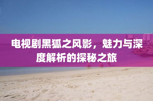 电视剧黑狐之风影，魅力与深度解析的探秘之旅