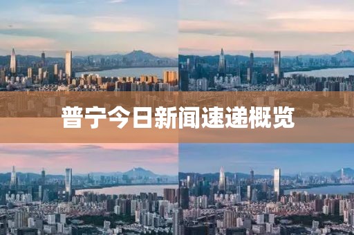 普宁今日新闻速递概览