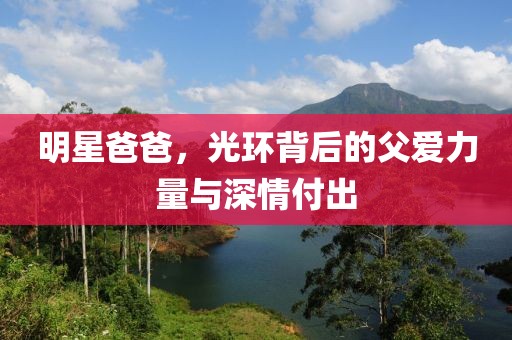 明星爸爸，光环背后的父爱力量与深情付出