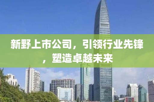 新野上市公司，引领行业先锋，塑造卓越未来