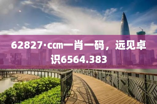 62827·c㎝一肖一码，远见卓识6564.383