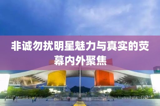 非诚勿扰明星魅力与真实的荧幕内外聚焦