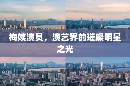 梅姨演员，演艺界的璀璨明星之光