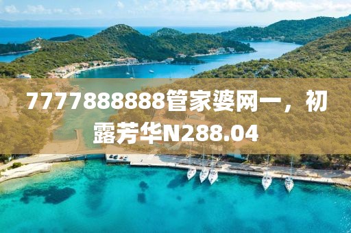 7777888888管家婆网一，初露芳华N288.04