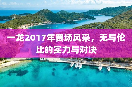 一龙2017年赛场风采，无与伦比的实力与对决