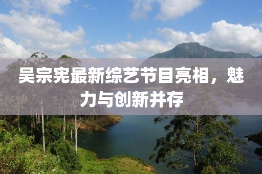 吴宗宪最新综艺节目亮相，魅力与创新并存