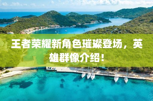 王者荣耀新角色璀璨登场，英雄群像介绍！