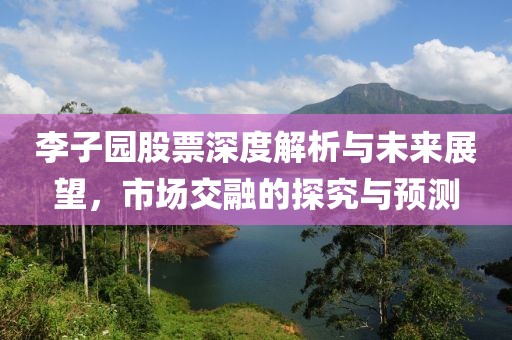 李子园股票深度解析与未来展望，市场交融的探究与预测