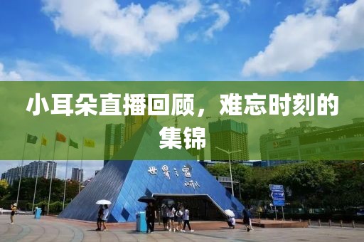 小耳朵直播回顾，难忘时刻的集锦