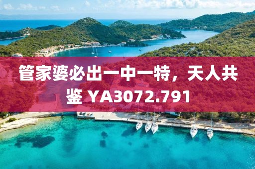 管家婆必出一中一特，天人共鉴 YA3072.791