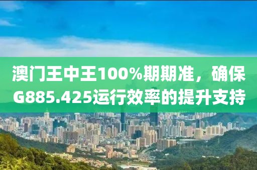 澳门王中王100%期期准，确保G885.425运行效率的提升支持