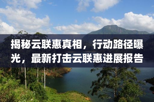 揭秘云联惠真相，行动路径曝光，最新打击云联惠进展报告