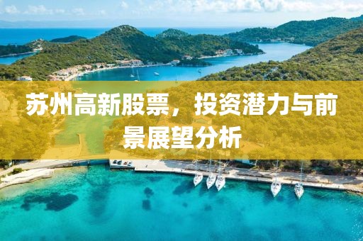 苏州高新股票，投资潜力与前景展望分析