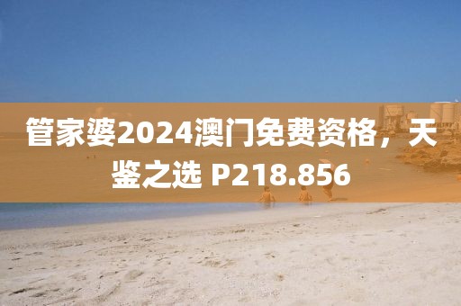 管家婆2024澳门免费资格，天鉴之选 P218.856