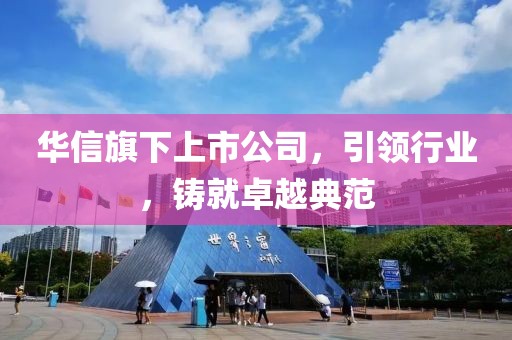 华信旗下上市公司，引领行业，铸就卓越典范
