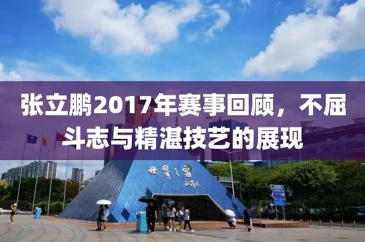 张立鹏2017年赛事回顾，不屈斗志与精湛技艺的展现