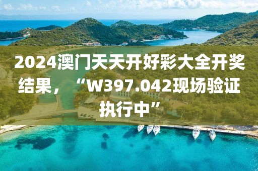 2024澳门天天开好彩大全开奖结果，“W397.042现场验证执行中”