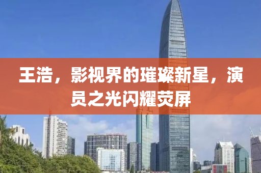 王浩，影视界的璀璨新星，演员之光闪耀荧屏