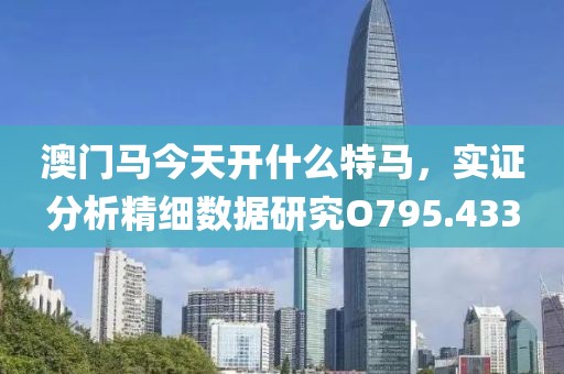 澳门马今天开什么特马，实证分析精细数据研究O795.433
