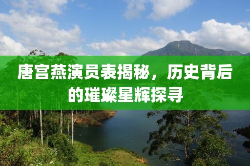 唐宫燕演员表揭秘，历史背后的璀璨星辉探寻