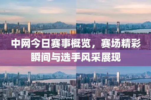 中网今日赛事概览，赛场精彩瞬间与选手风采展现