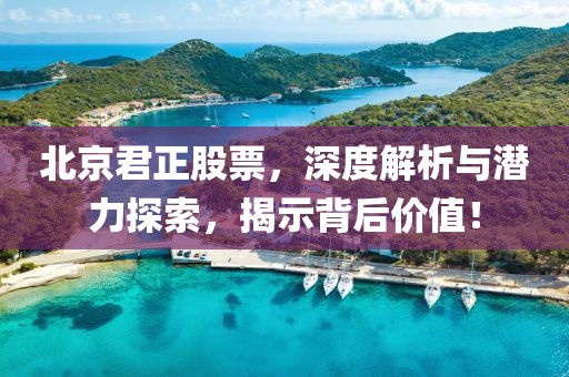 北京君正股票，深度解析与潜力探索，揭示背后价值！