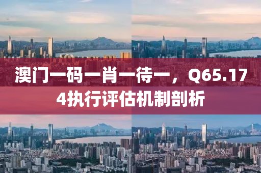 澳门一码一肖一待一，Q65.174执行评估机制剖析
