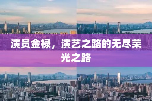 演员金禄，演艺之路的无尽荣光之路