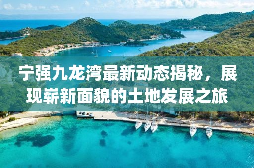 宁强九龙湾最新动态揭秘，展现崭新面貌的土地发展之旅