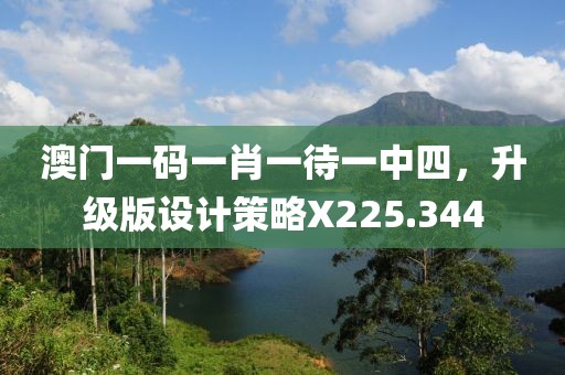 澳门一码一肖一待一中四，升级版设计策略X225.344