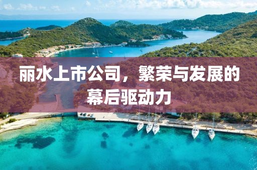 丽水上市公司，繁荣与发展的幕后驱动力